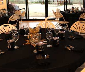 Dana Adobe Events Gala
